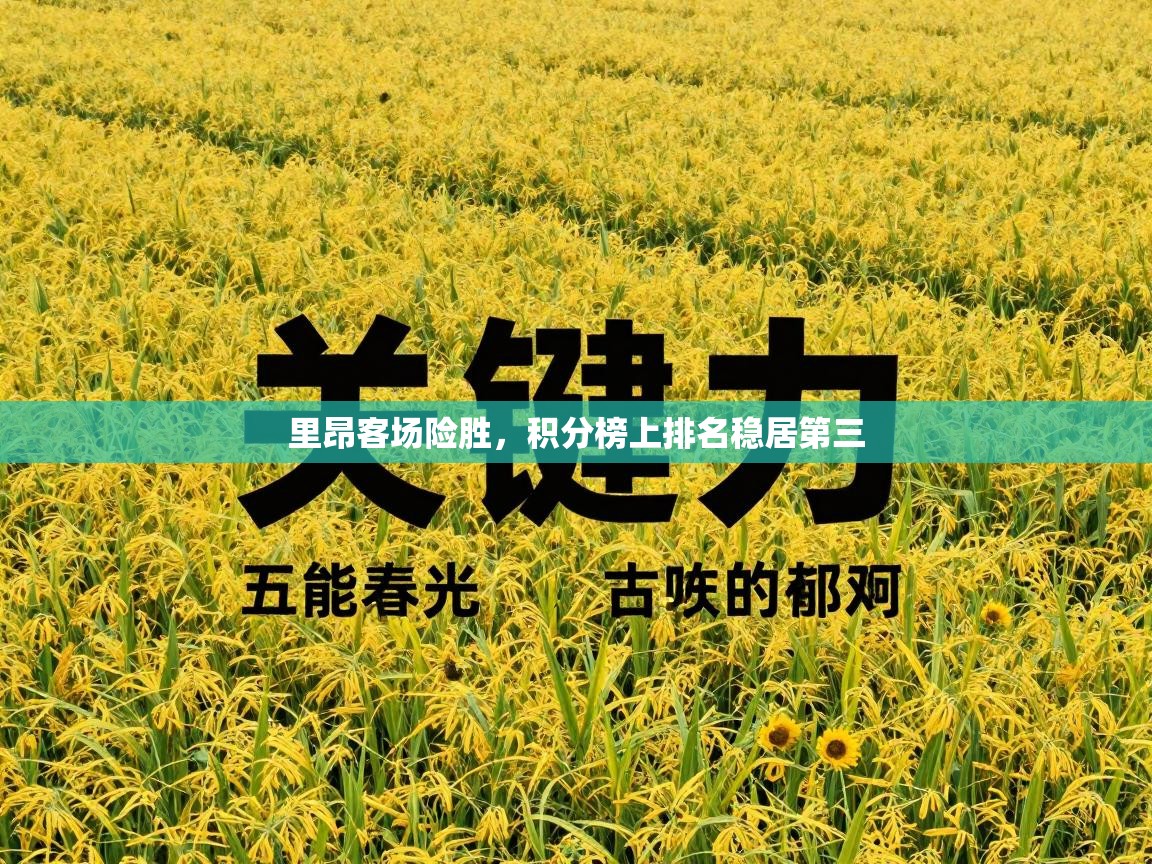 里昂客场险胜,积分榜上排名稳居第三 第2张