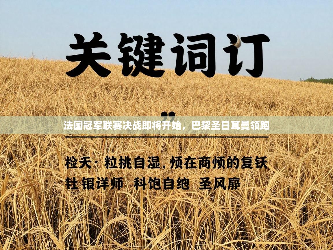 法国冠军联赛决战即将开始，巴黎圣日耳曼领跑  第1张